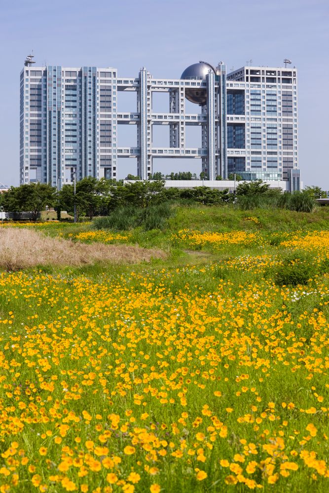 フジテレビの画像 - 3枚目