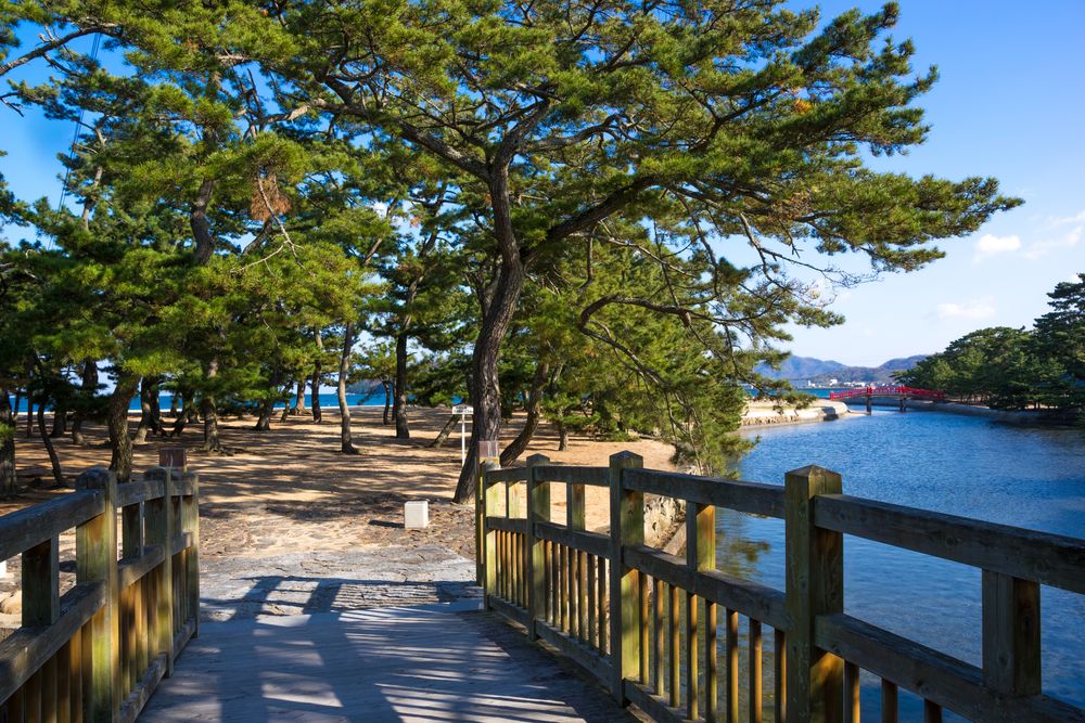 琴林公園の画像 - 3枚目