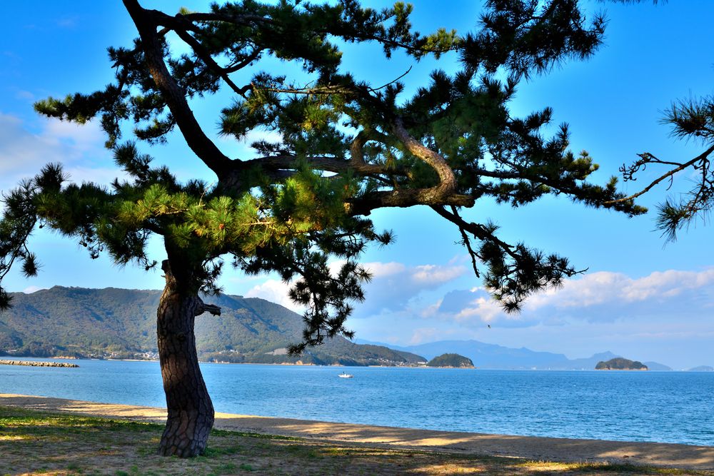 琴林公園の画像 - 4枚目