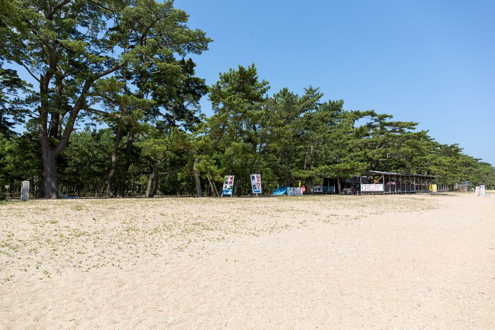 琴林公園の画像 - 7枚目