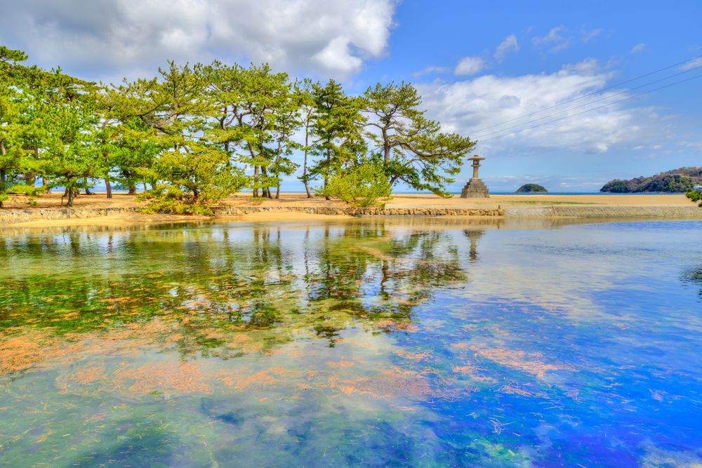 琴林公園の画像 - 8枚目