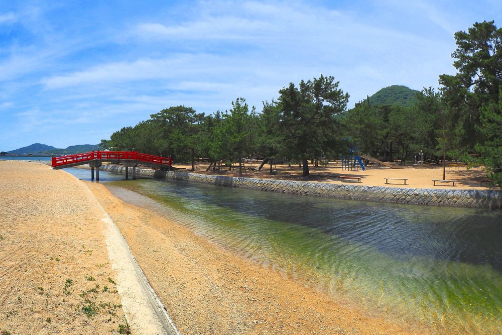 琴林公園の画像 - 9枚目