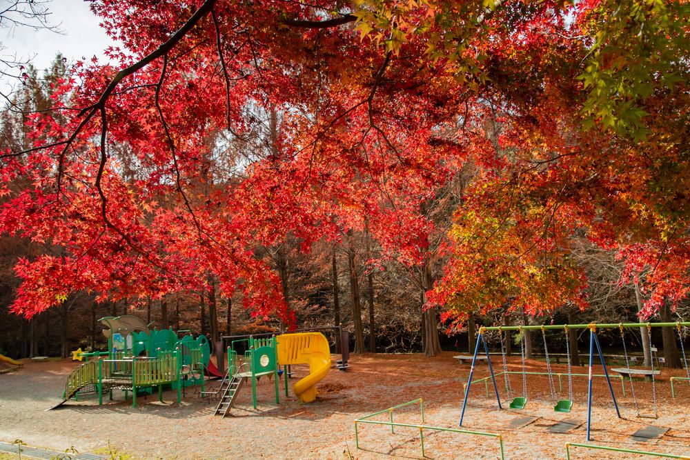 満濃池森林公園の画像 - 2枚目