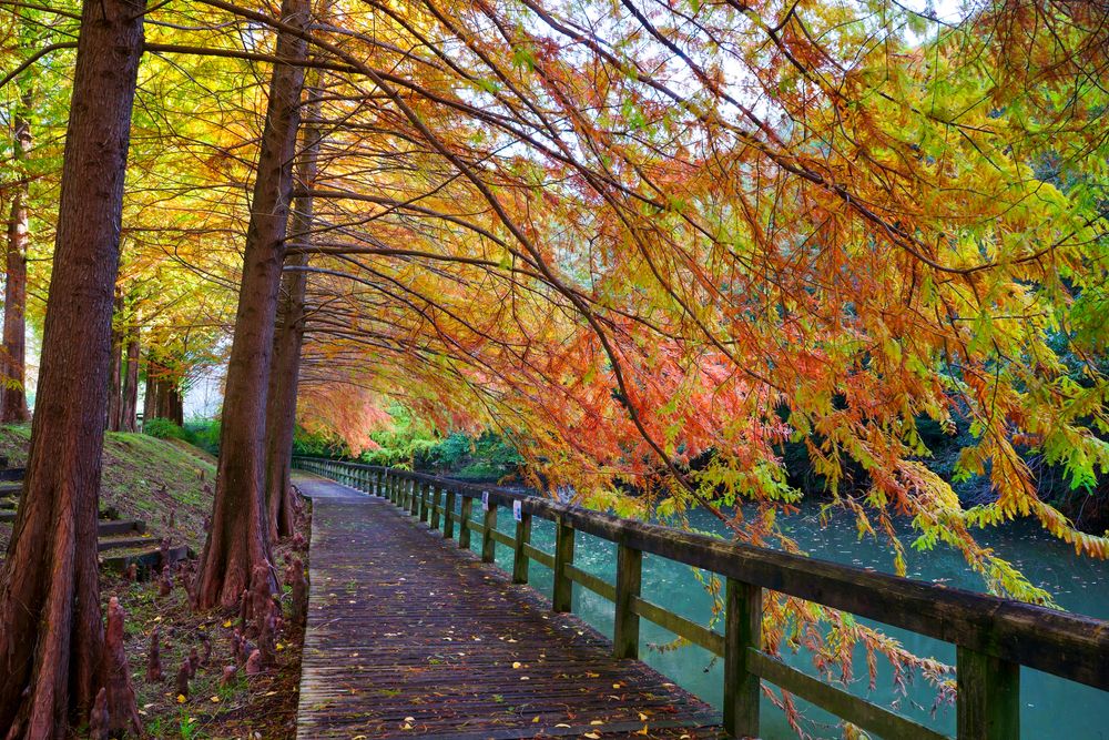 満濃池森林公園の画像 - 5枚目