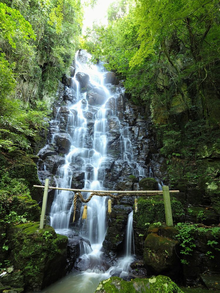 城山の画像 - 2枚目