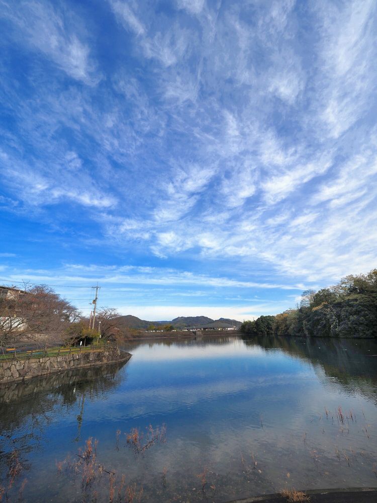 戸川ダム公園