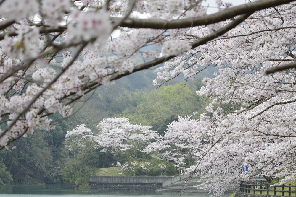 戸川ダム公園の画像 - 2枚目