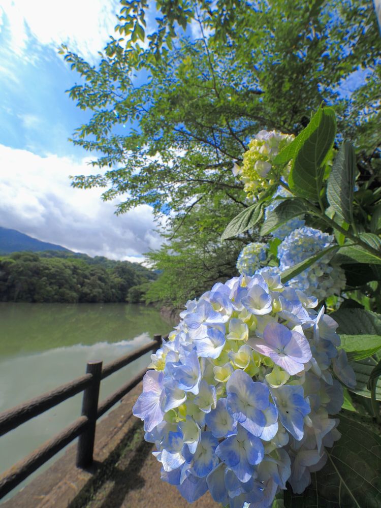 戸川ダム公園の画像 - 3枚目
