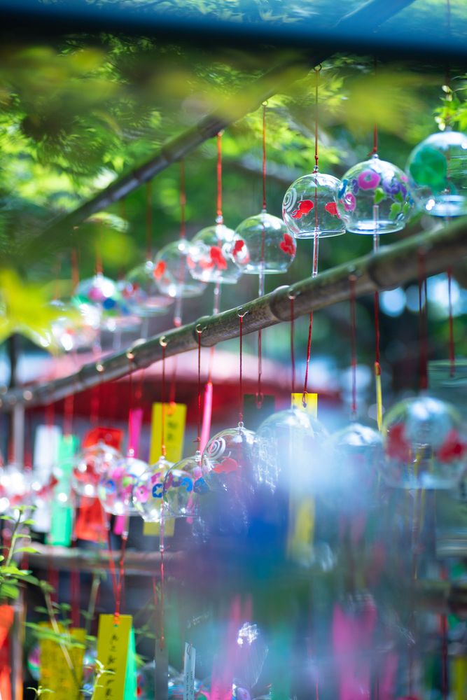 如意輪寺(かえる寺)の画像 - 2枚目