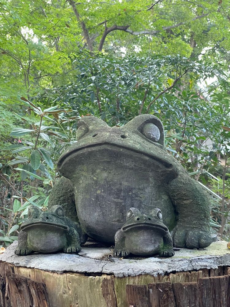 如意輪寺(かえる寺)の画像 - 4枚目