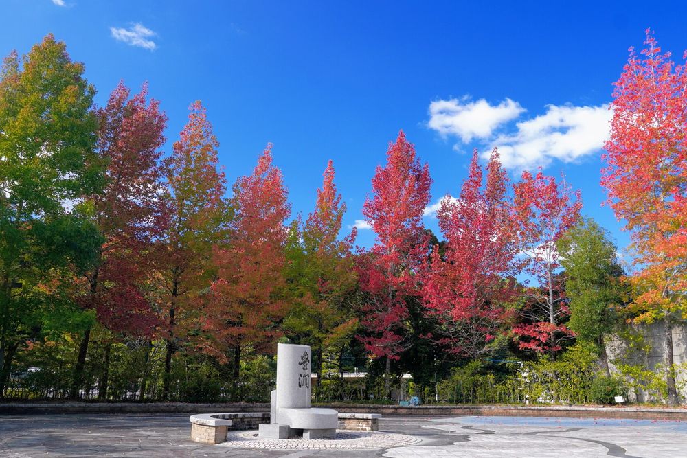 香川用水記念公園の画像 - 3枚目