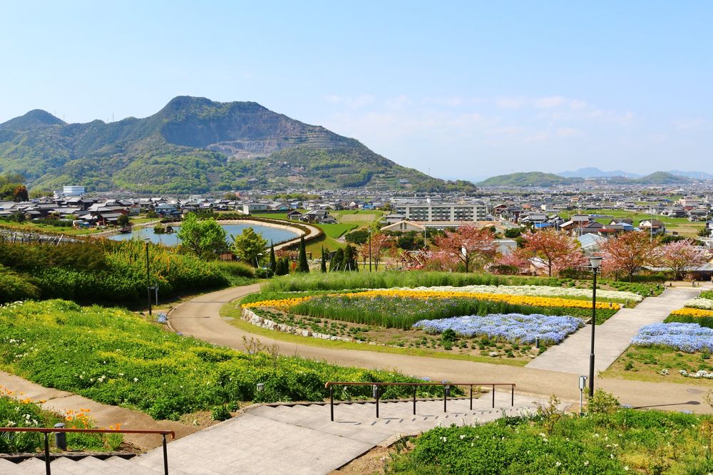 善通寺五岳の里 市民集いの丘公園の画像 - 3枚目