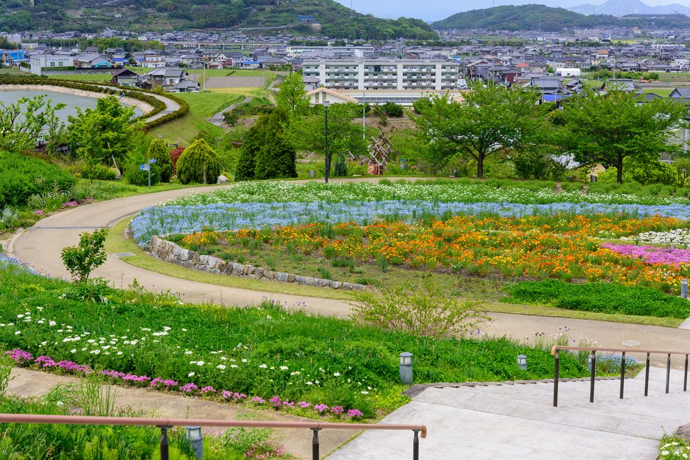 善通寺五岳の里 市民集いの丘公園の画像 - 4枚目