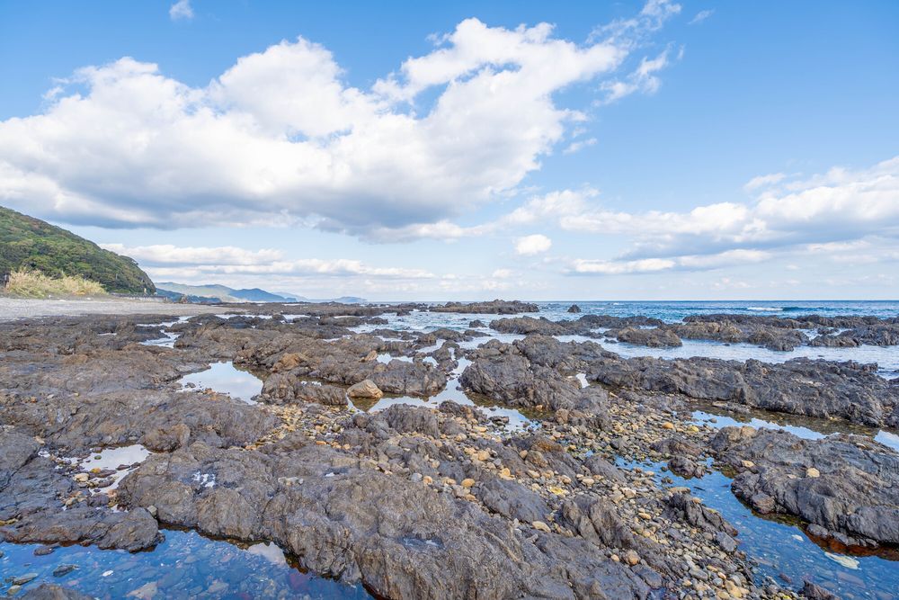 白浜海水浴場の画像 - 4枚目
