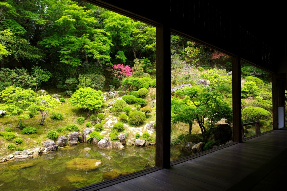 竹林寺の画像 - 2枚目