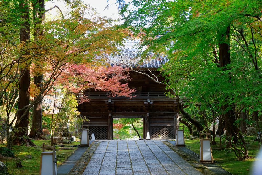 竹林寺の画像 - 3枚目
