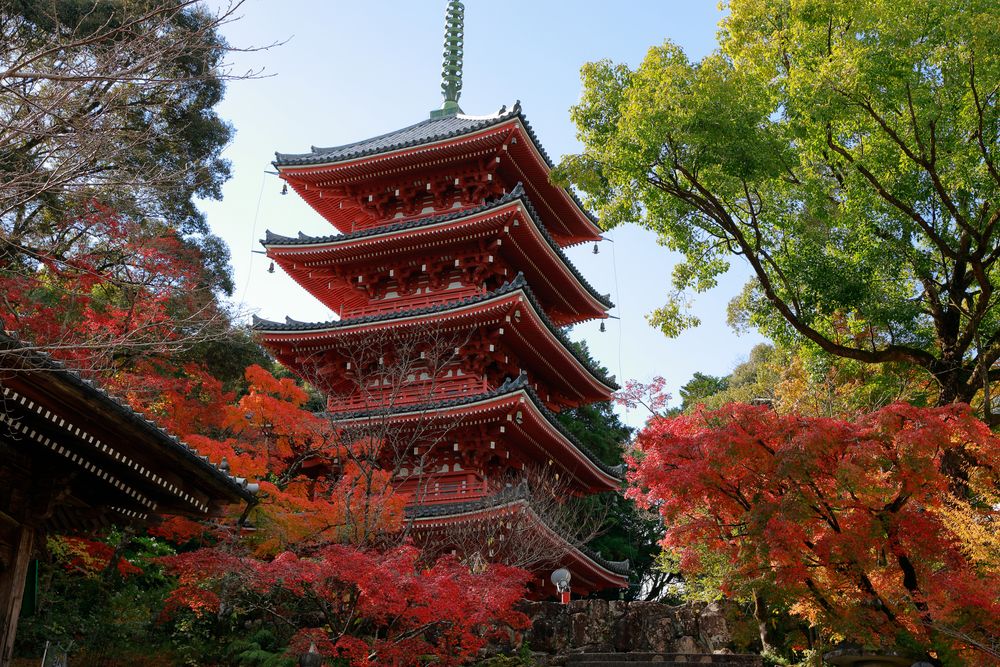 竹林寺の画像 - 4枚目