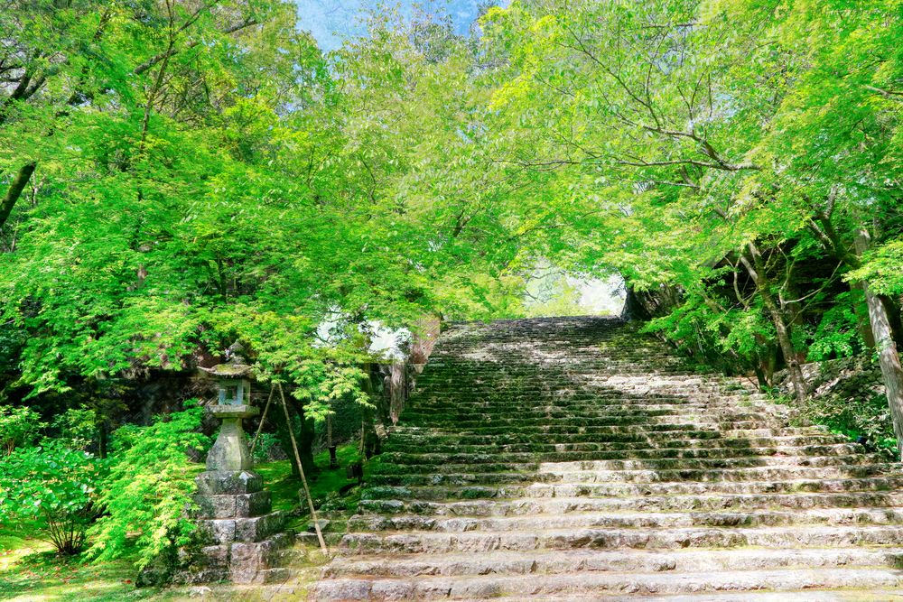竹林寺の画像 - 5枚目
