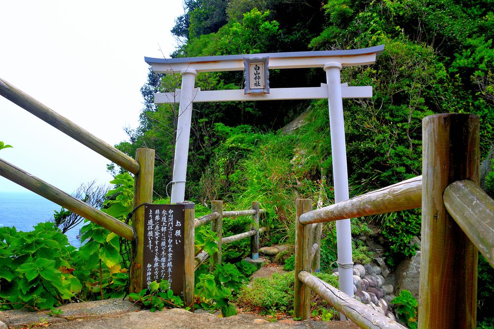 白山神社(足摺岬)の画像 - 4枚目