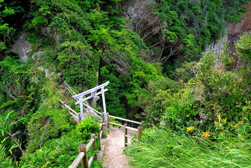 白山神社(足摺岬)の画像 - 5枚目