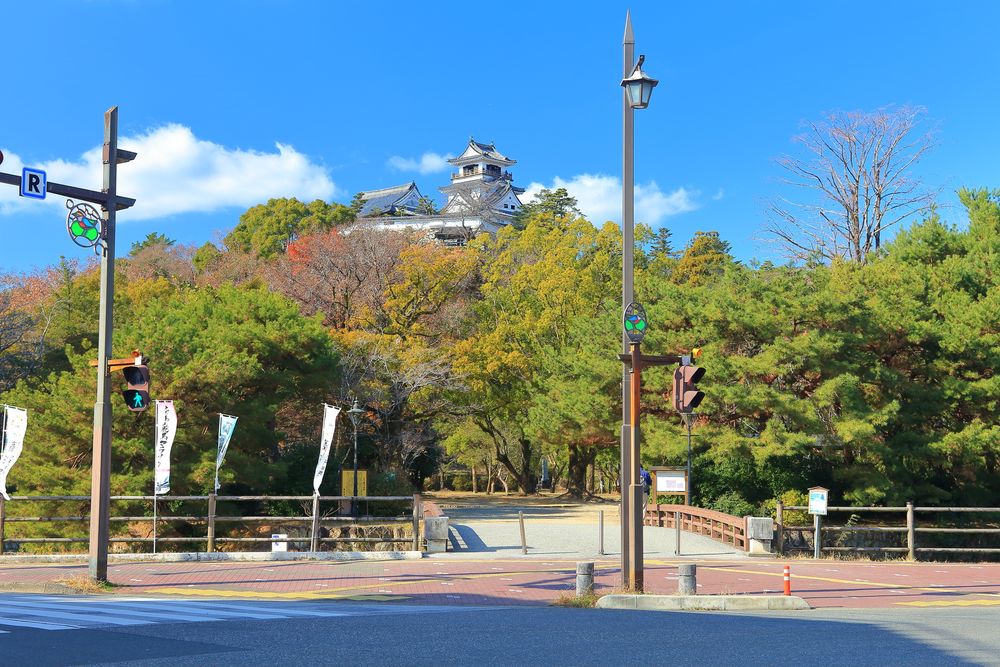 高知公園の画像 - 2枚目