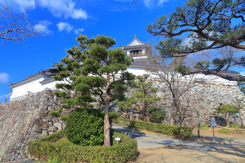 高知公園の画像 - 3枚目