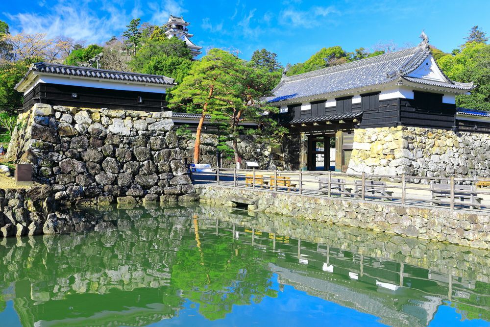 高知公園の画像 - 4枚目