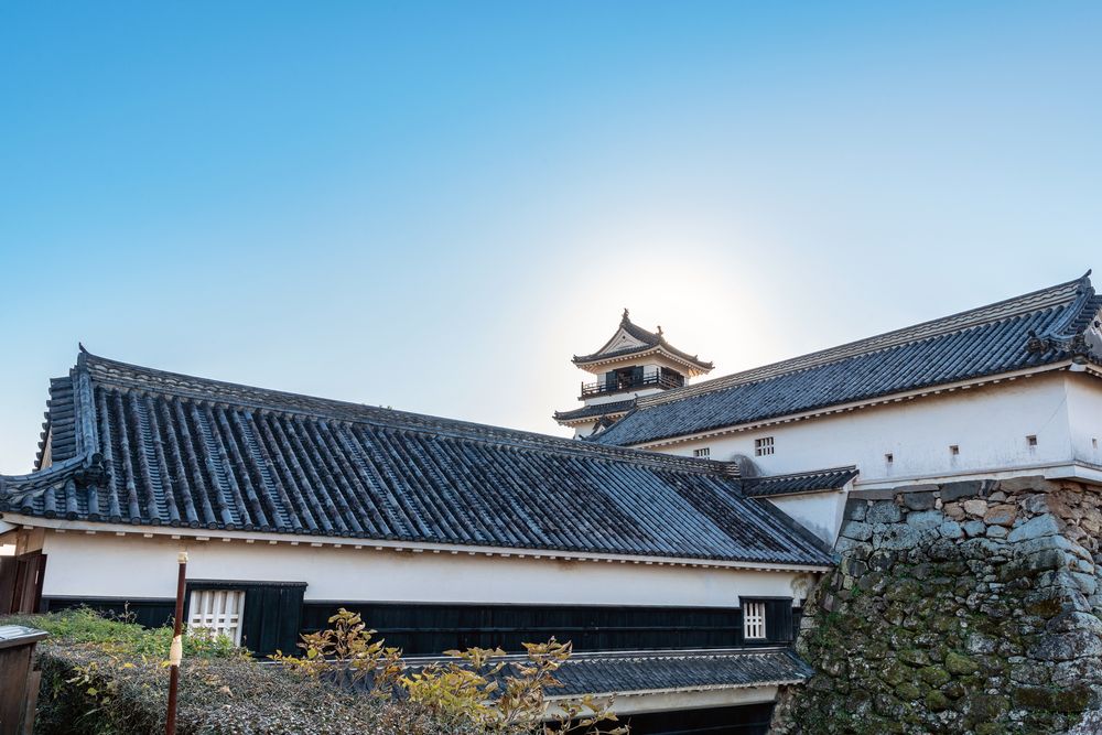 高知公園の画像 - 5枚目