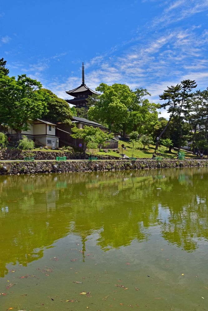 興福寺の画像 - 3枚目