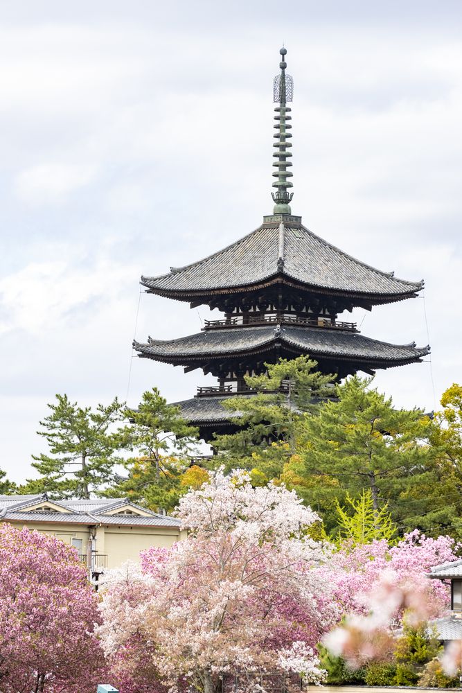 興福寺の画像 - 6枚目