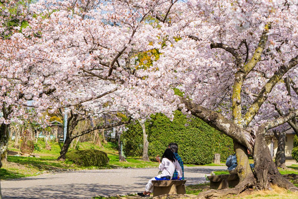 徳島中央公園の画像 - 3枚目