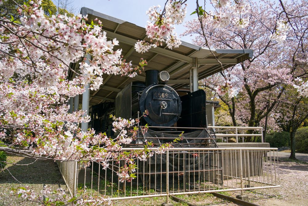 徳島中央公園の画像 - 5枚目