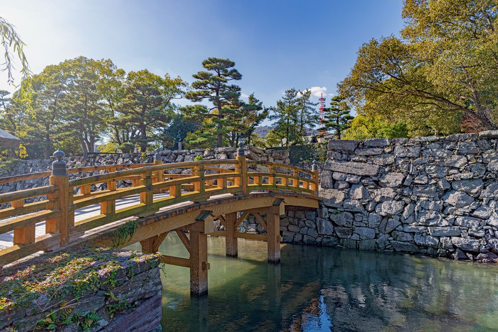 徳島中央公園の画像 - 6枚目