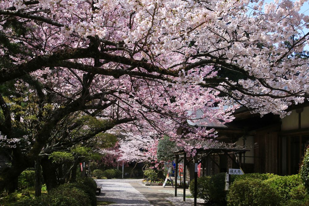 太龍寺の画像 - 3枚目