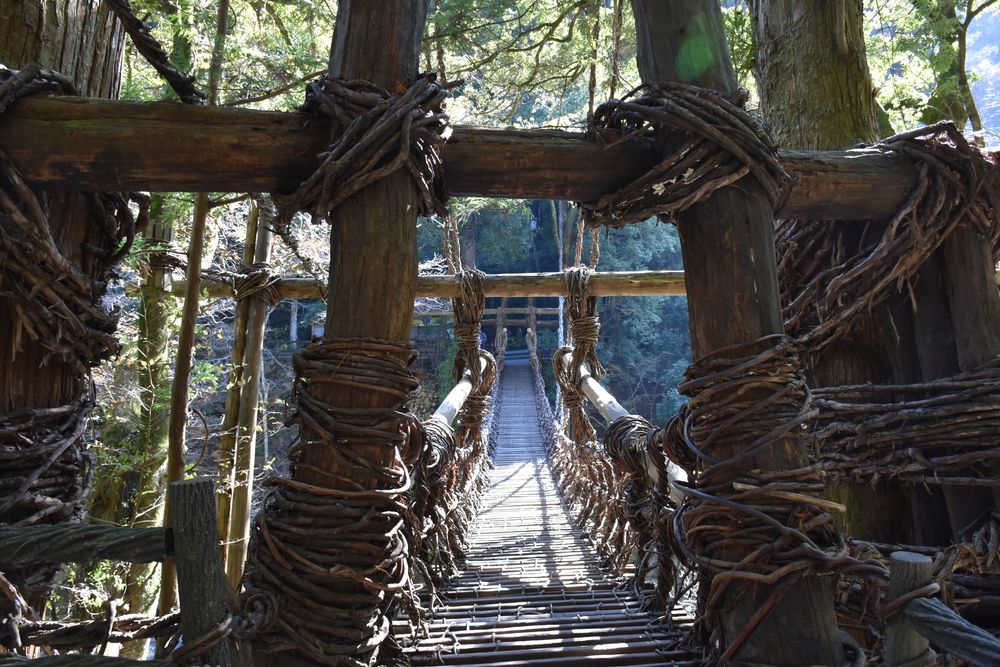 琵琶の滝の画像 - 3枚目