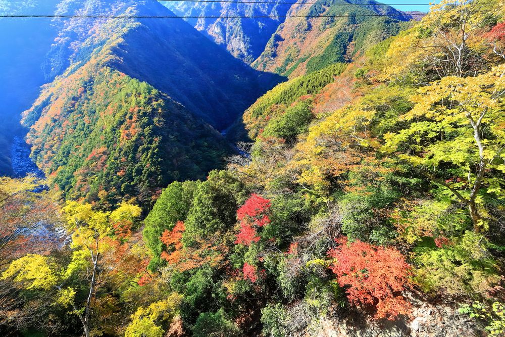 ひの字渓谷展望所の画像 - 4枚目