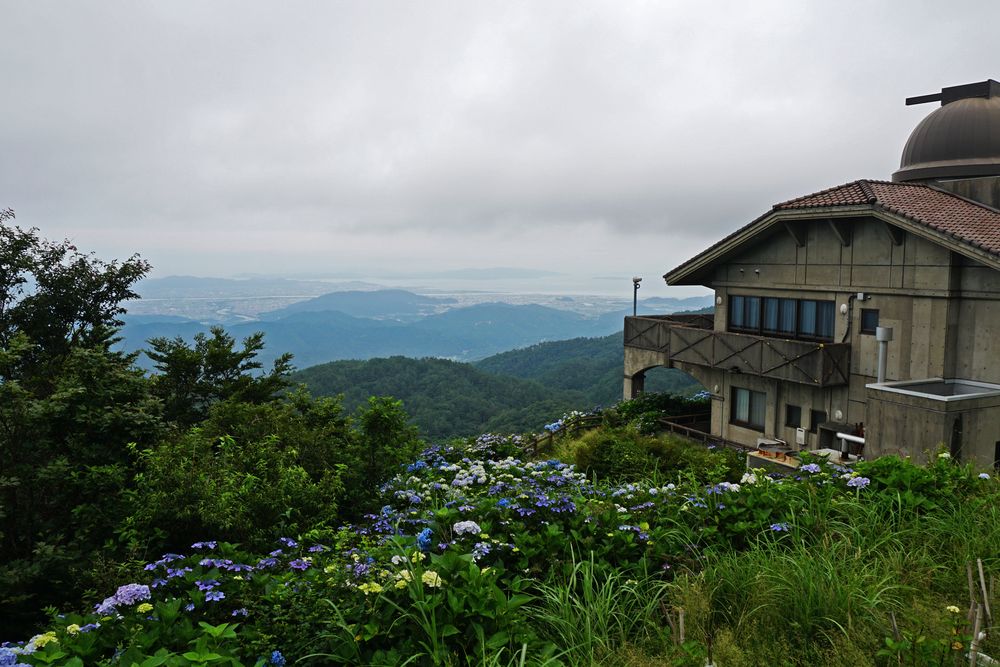 大川原高原の画像 - 5枚目