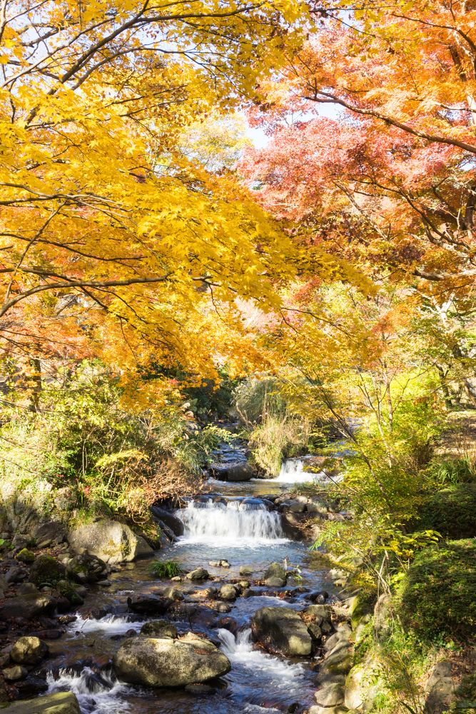 熱海梅園の画像 - 3枚目