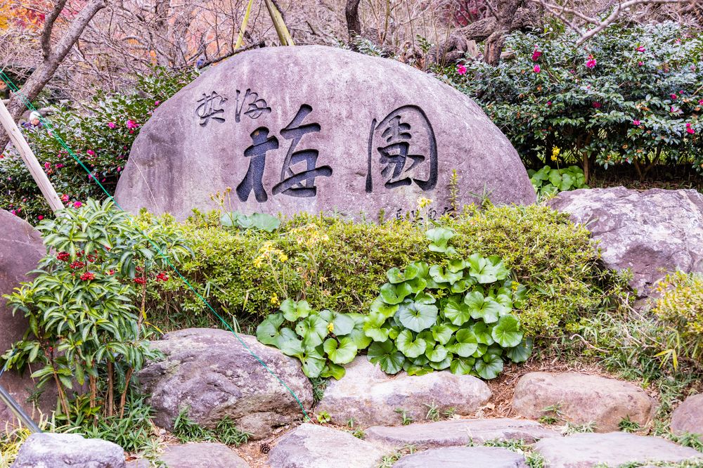 熱海梅園の画像 - 5枚目