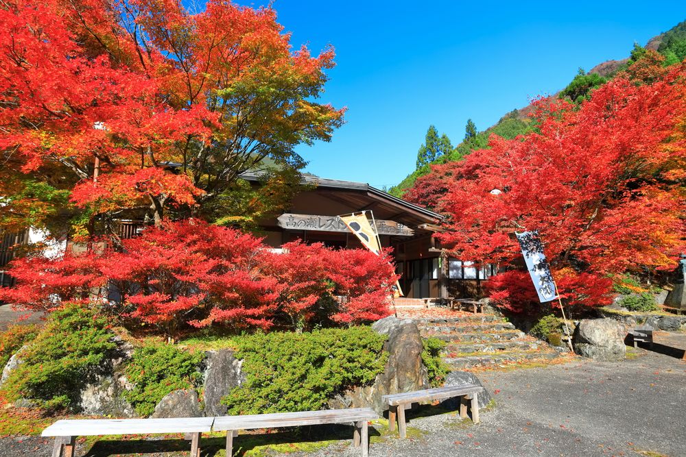 高の瀬峡】の周辺スポット・アクセス・口コミ - Prism Japan