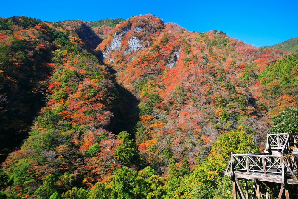 高の瀬峡】の周辺スポット・アクセス・口コミ - Prism Japan