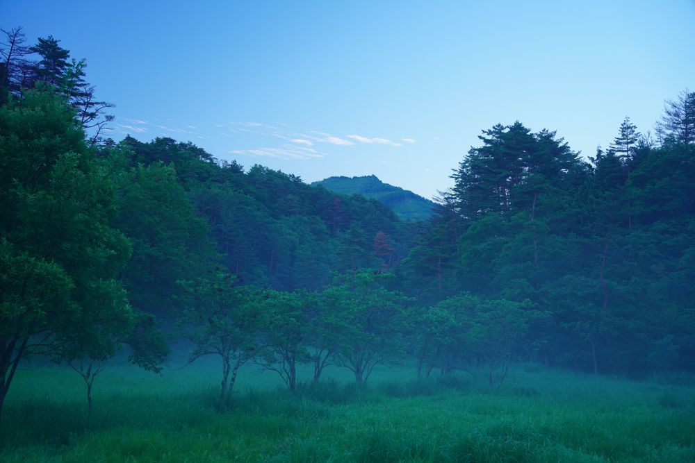 黒沢湿原の画像 - 2枚目