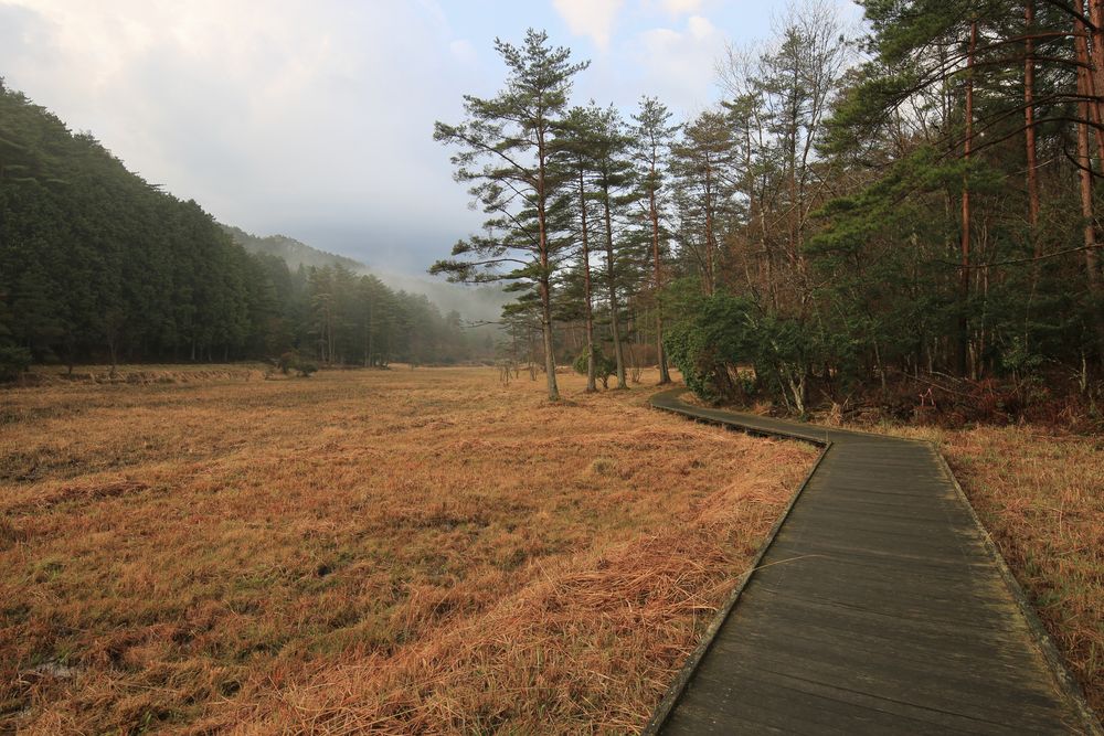 黒沢湿原の画像 - 3枚目
