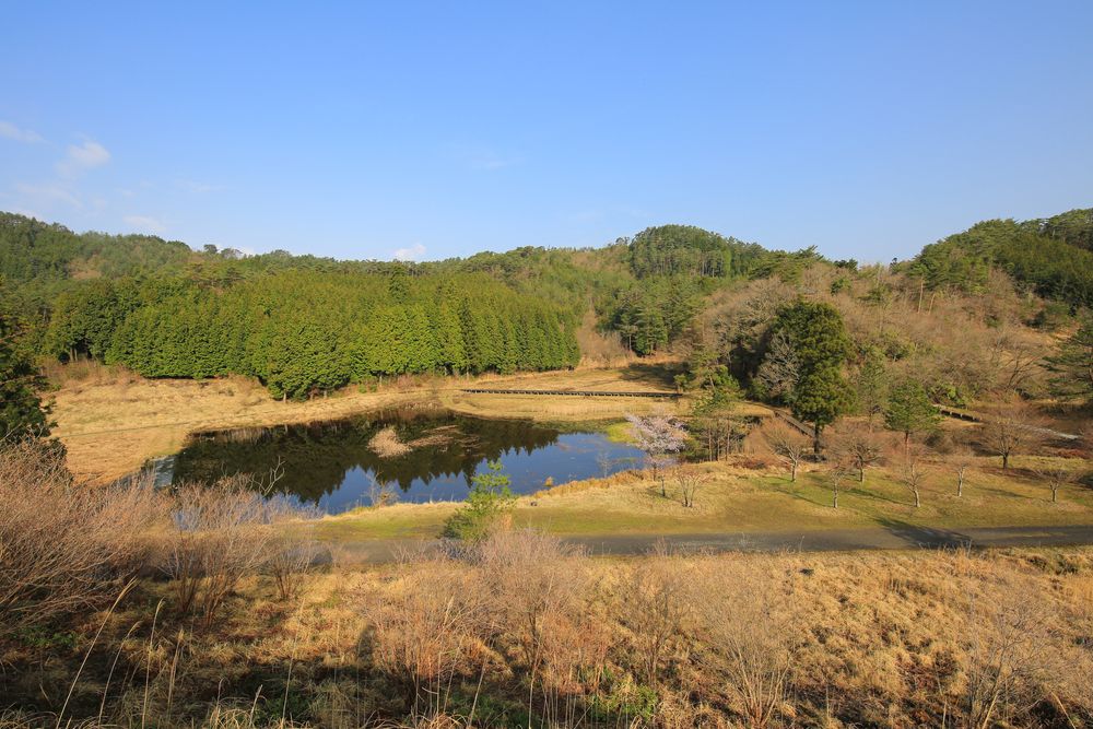 黒沢湿原の画像 - 4枚目