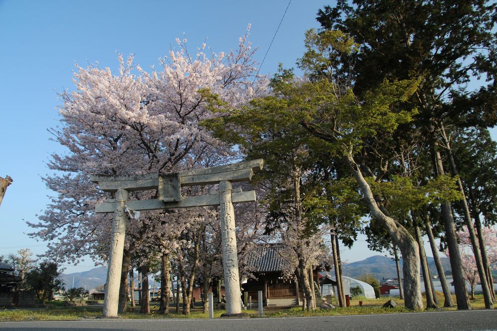向麻山公園の画像 - 2枚目