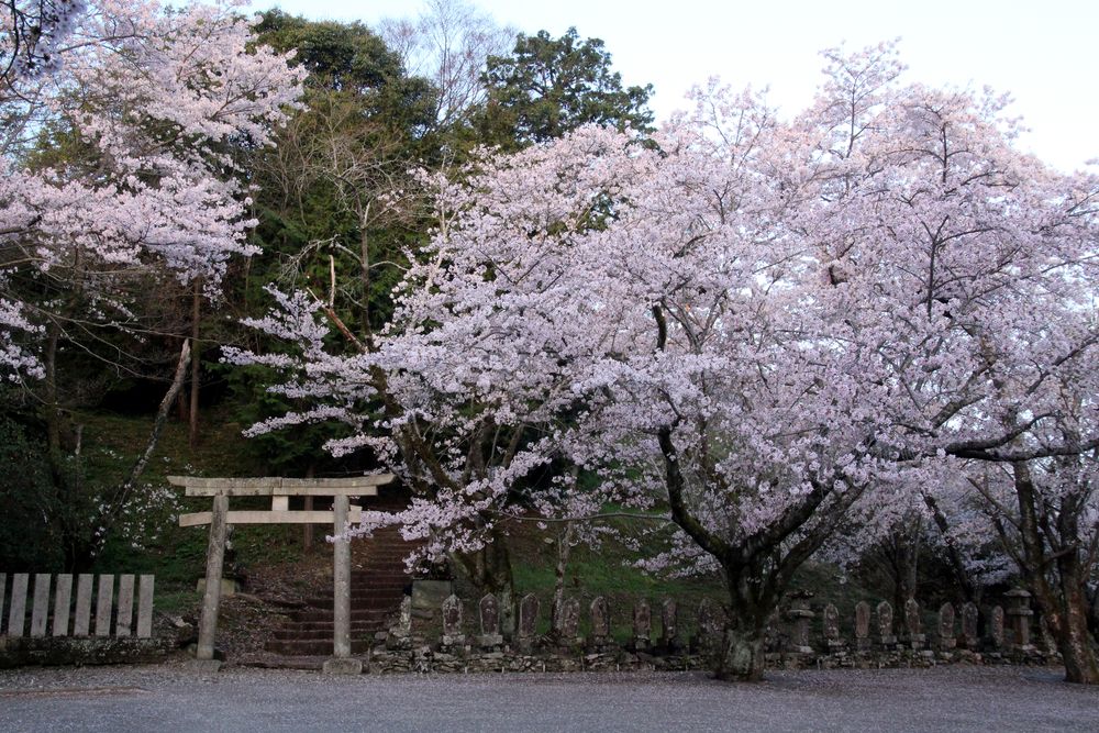 向麻山公園の画像 - 3枚目