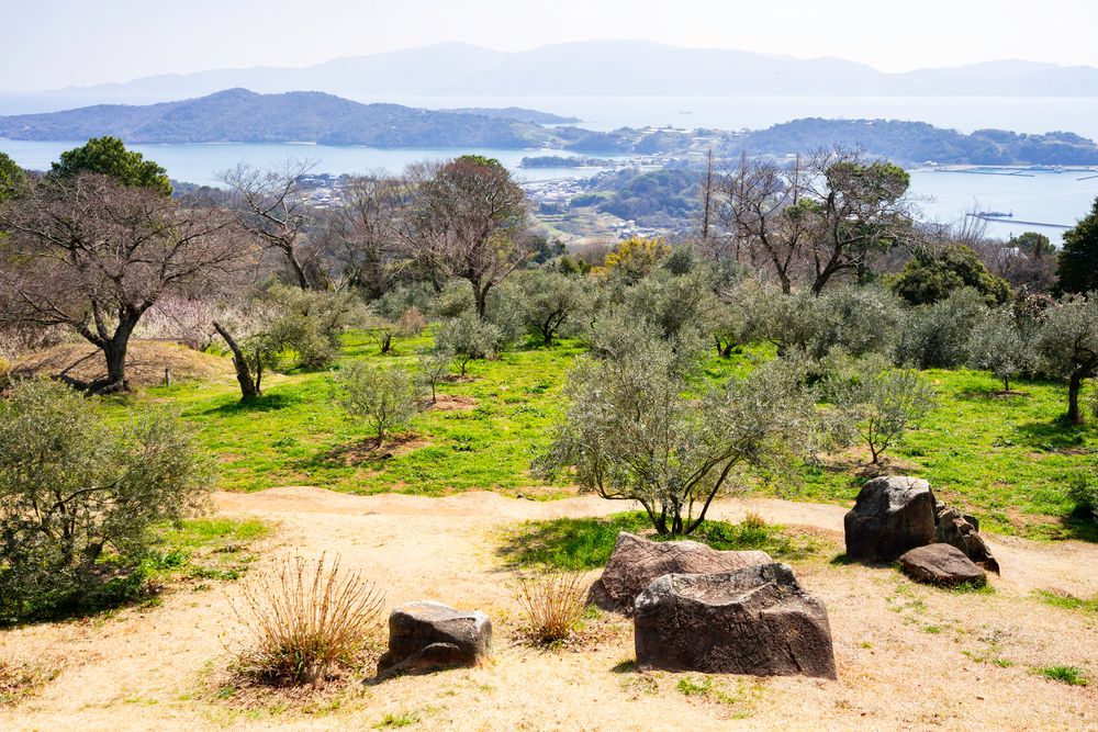 牛窓オリーブ園】の周辺スポット・アクセス・口コミ - Prism Japan