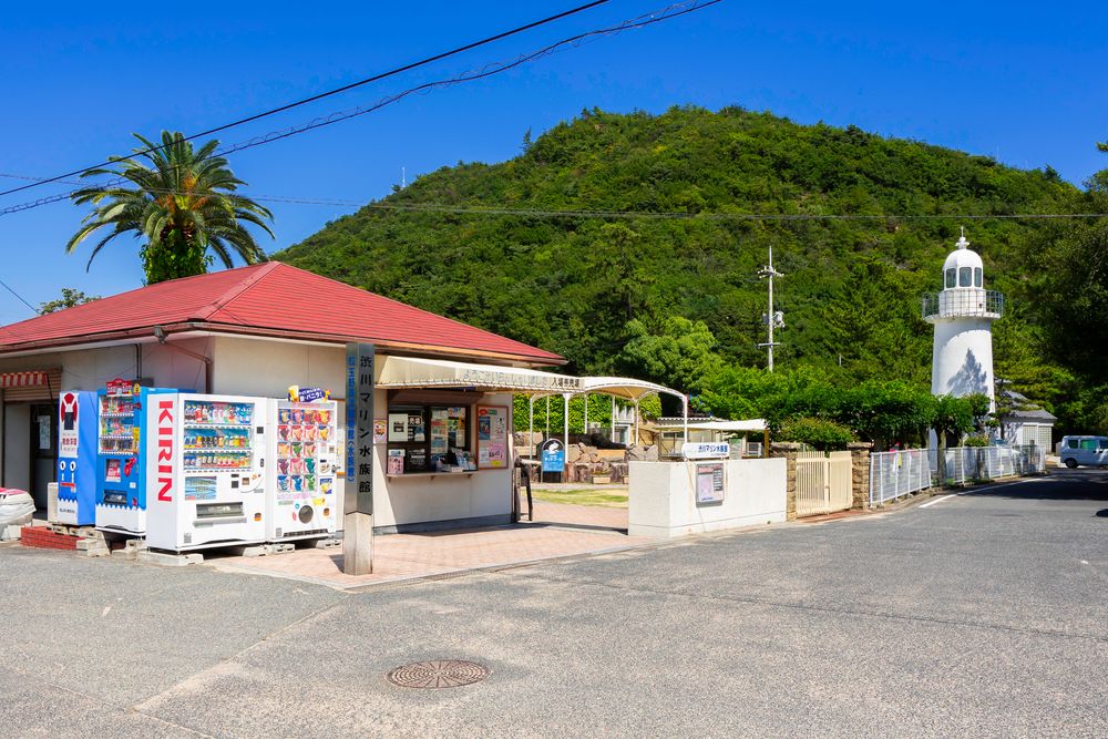 渋川海岸の画像 - 3枚目