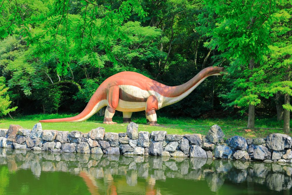 笠岡市立カブトガニ博物館の画像 - 2枚目