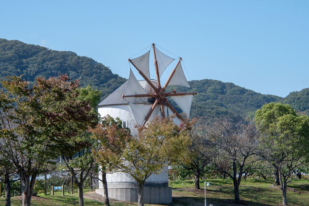 岡山市サウスヴィレッジの画像 - 5枚目